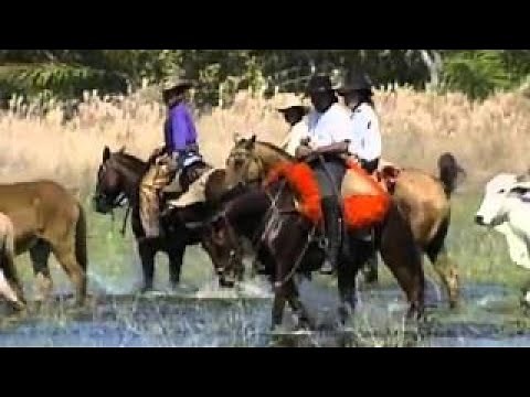 The Most Extreme - Horrors