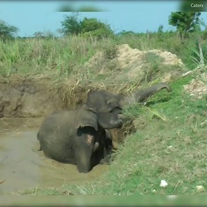 22K views · 416 reactions | This mum and her baby stuck together to stay alive ❤️ | Daily Mail Video | Facebook