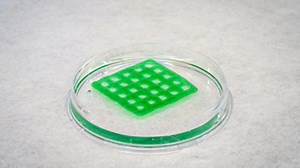 New 3D-printed 'living material' could purify water