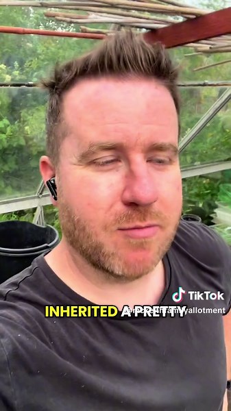 Discovering Hidden Gem Seeds for Your Allotment