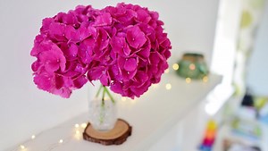 A Review of the Nikon NIKKOR Z 24mm f/1.8 S Lens for Mirrorless Cameras