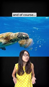 18K views · 496 reactions | Who knew that an animal without brain could take over the world?! 勞 | Just Keep Thinking | Facebook