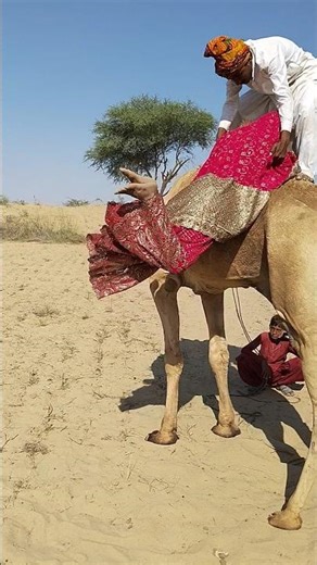 هل تكفي هذه اليد للصعود؟