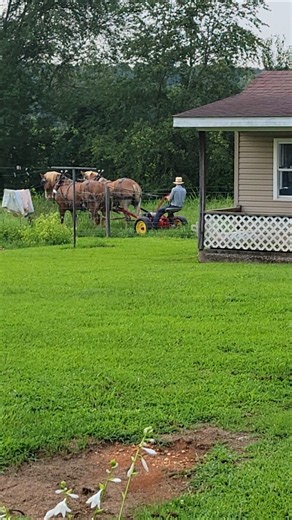 My Amish neighbor mowed my field today #Amish #countrylife