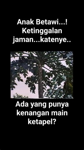 224K views · 2.8K reactions | Si Doel Anak Betawi #sidoelanakbetawi | KOMUNITAS PECINTA FILM INDONESIA JADUL | Facebook