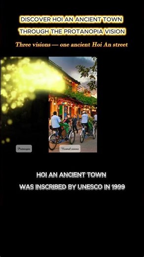 Hoi An, Viet Nam: Three Visions, Living street | Protanopia Simulation | Visual Perception