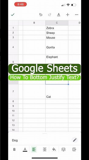 How to Bottom Justify In Google Sheets Mobile?