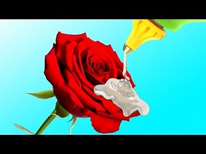 20 FLOWER HACKS AND DIY FLOWER IDEAS