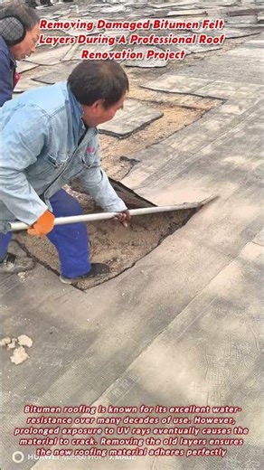 Removing Damaged Bitumen Felt Layers During A Professional Roof Renovation Project