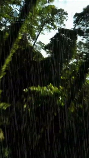 Jungle Predator Drone Dive 🌴 | Cinematic FPV Short