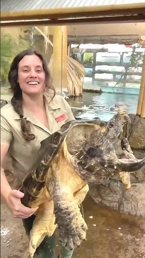 small to big animal transformation Power of transformation