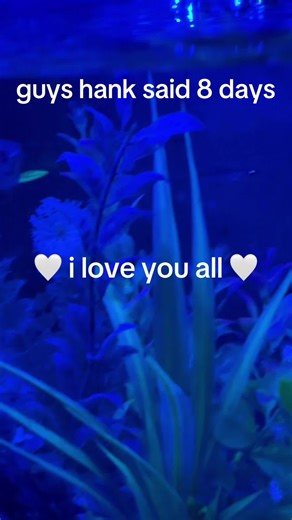what can i say hank may be onto sum #hank #earth #ending #iwillmissyou #fyp