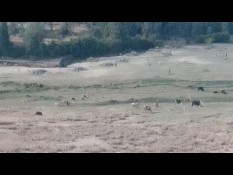 ደሱ Body Code Media is live!