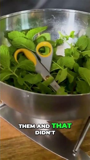 Thai Spring Rolls That Taste Too Good — Here’s Why