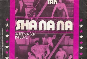 Sha Na Na - A Teenager In Love | Top 40