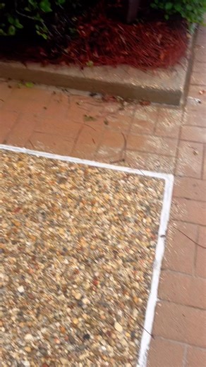 4.1K views · 81 reactions | How to plan a wedding. #WeddingPlanning Monica Sims -Vivid Decor | Monica Sims -Vivid Decor | Facebook