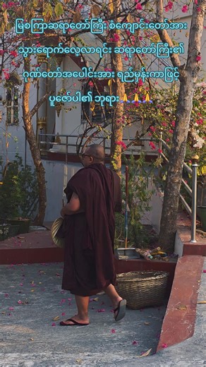 မြစကြာဆရာတော်ကြီး စံကျောင်းတော် လေ့လာရေး