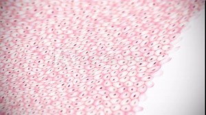 cultured meat cells sheet seen from the microscope animation