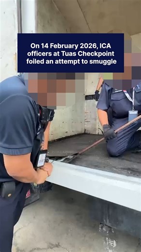 𝗥𝗲𝗲𝗹-𝘆? 👀 On 14 February 2026, ICA officers at Tuas Checkpoint foiled an attempt to smuggle duty-unpaid cigarettes into Singapore via a Malaysia-registered lorry. ICA Image Analyst noticed anomalies in the scanned images of the consignment comprising of cable reels, bolts and nuts and directed the lorry for enhanced checks. During the checks, Search and Examination officers uncovered more than 700 cartons of duty-unpaid cigarettes hidden in the modified floorboard of the lorry. The 31-year