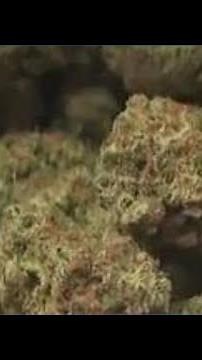 What the federal rescheduling of marijuana means for Indiana