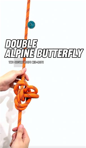 Double Alpine Butterfly Loop🪢 Need two dependable loops formed mid-rope while keeping the main line strong and intact? This knot is an advanced variation of the Alpine Butterfly, designed to produce two independent, fixed loops in the bight. Each loop stays firm and open, even when forces are applied from different directions. The result is a balanced, stable configuration that adds versatility without compromising rope integrity, ideal when a single loop just won’t do. #rope #alpinebutterfly #