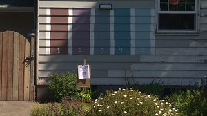 Winner chosen in Portland family's viral house paint survey