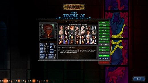 Co8 Portrait Packs file - Temple  mod for The Temple of Elemental Evil