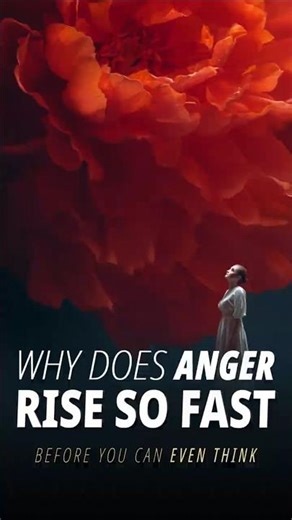Why Does Anger Rise So Fast? | Before You Can Even Think