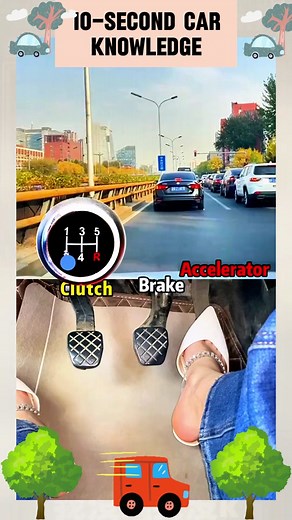 Autobee on TikTok