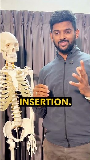 How to remember muscle origin insertion? #physiotheraphy #anatomy