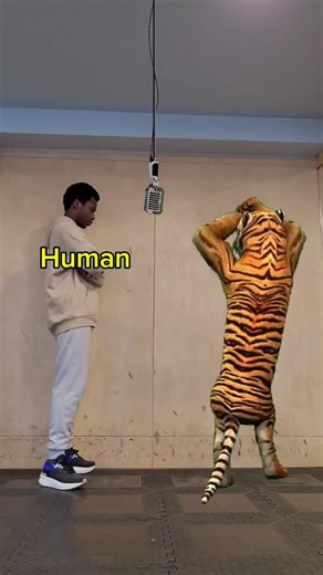 Human Vs. Tiger... TRACK 2 - GET HYPER BY DROIDEKA