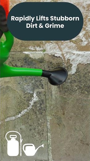 How To Use This Black Spot Remover & Patio Cleaner