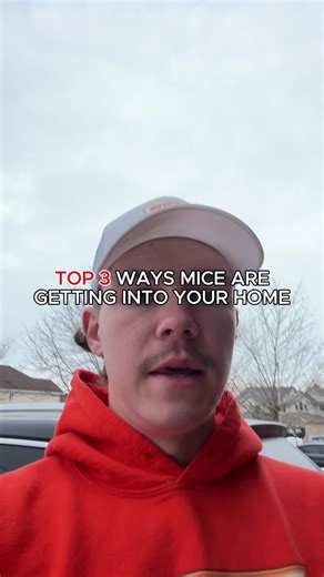 Top 3 ways mice are getting into your home right now: 🚪 Garage door seal 🪠 Worn caulking around pipes 🌀 Dryer vent Go check all 3 tonight. Follow for the exact products & fixes to seal them up for good.