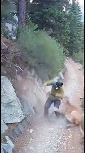 A hiker is recovering after a sudden mountain lion attack on a remote trail earlier this week. According to officials, the man was walking alone when the animal emerged from dense brush and lunged without warning. Surveillance-style footage captured part of the struggle, showing the hiker using his backpack to shield himself as the cat clawed and bit at his arms. After several tense seconds, the mountain lion retreated back into the hillside. The hiker sustained multiple lacerations but managed 
