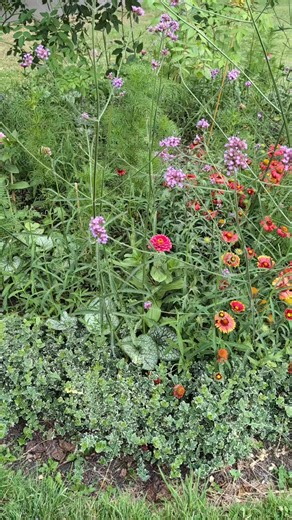 Nature Notes on TikTok