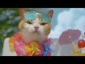 にゃらん、リゾートでかき氷＆陶芸「じゃらん」新CM「海辺のリゾートで小さな弟子」編