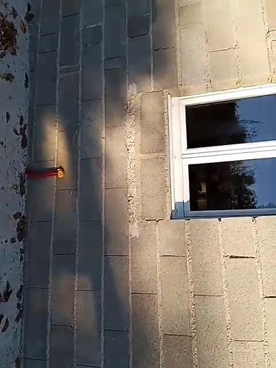 47 reactions · 21 comments | Petite présentation de mon setup....