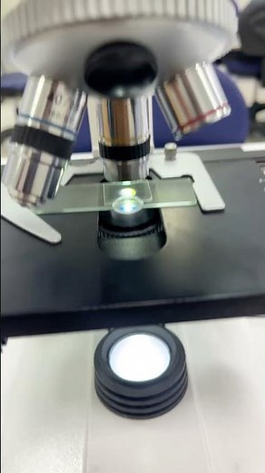 Counting Stomata in a Leaf |practica l Metric| FSC | Biology Lab Experiment