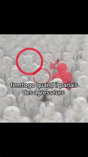 Découvrez Femtogo : Biographie et Polémiques