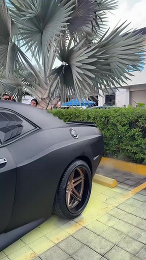 Comparativa entre Dodge Challenger V6 y V8