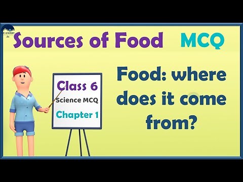 CBSE Class 6 Science Chapter 1 MCQ - Food: Where does it come from MCQ - Sources of Food MCQ - Bits