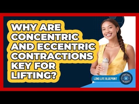 Why Are Concentric And Eccentric Contractions Key For Lifting? - Long Life Blueprint