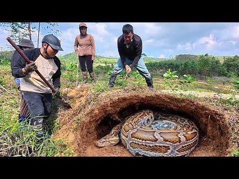 The girl sought help from a group of hunters after being attacked by a large python.