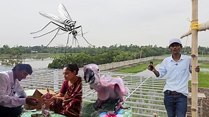 175K views · 3.4K reactions | Netting Has Begun On Our New Out Door Parrot Aviary / Social Work At Our New Parrot Farm. | Parrot Dipankar | Facebook