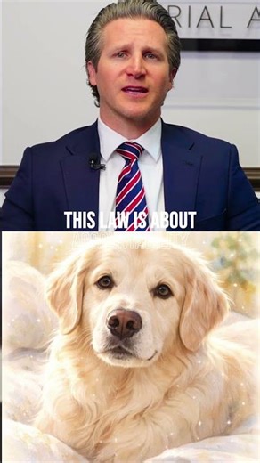 Animal Abusers Will Now Be Publicly Listed in Florida 😳