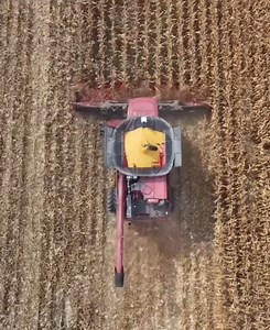 🌽 Tiling changed this farmer’s field! Live to Farm 🌽 Watch full episodes with link in bio 👀 #tvshow #fyp #foryou #tvseries #viral #foryoupage #tiktok #series #tvclips #televison #youtube #discoverychannel #acrestv #rfdtv #tvtok #farming #livetofarm #farmlife #tvshowfan #tvshowaddict #agtv #agriculturaltv | Live To Farm