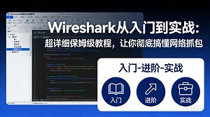 【31全集】Wireshark网络数据分析入门到精通。覆盖从环境配置、过滤技巧到安全审计的10大核心模块，构建你的网络洞察力体系。