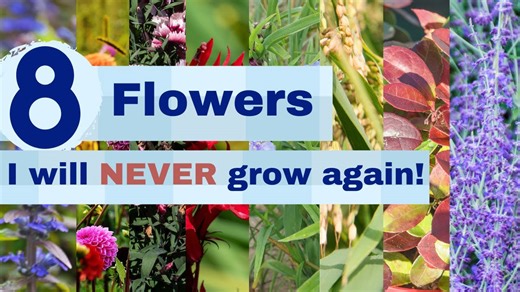 8 Flowers I'll Never Grow Again and Why