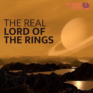 22K views · 685 reactions | Adorned with thousands of beautiful...