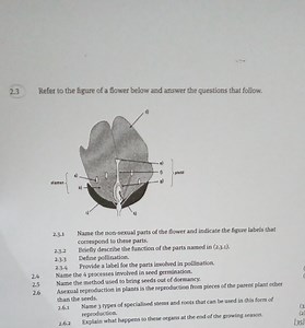 Refer to the figure of a flower and answer the questions that f... | Filo